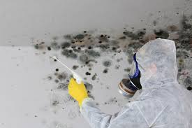 Best Residential Mold Inspection & Testing  in Rochester, IL